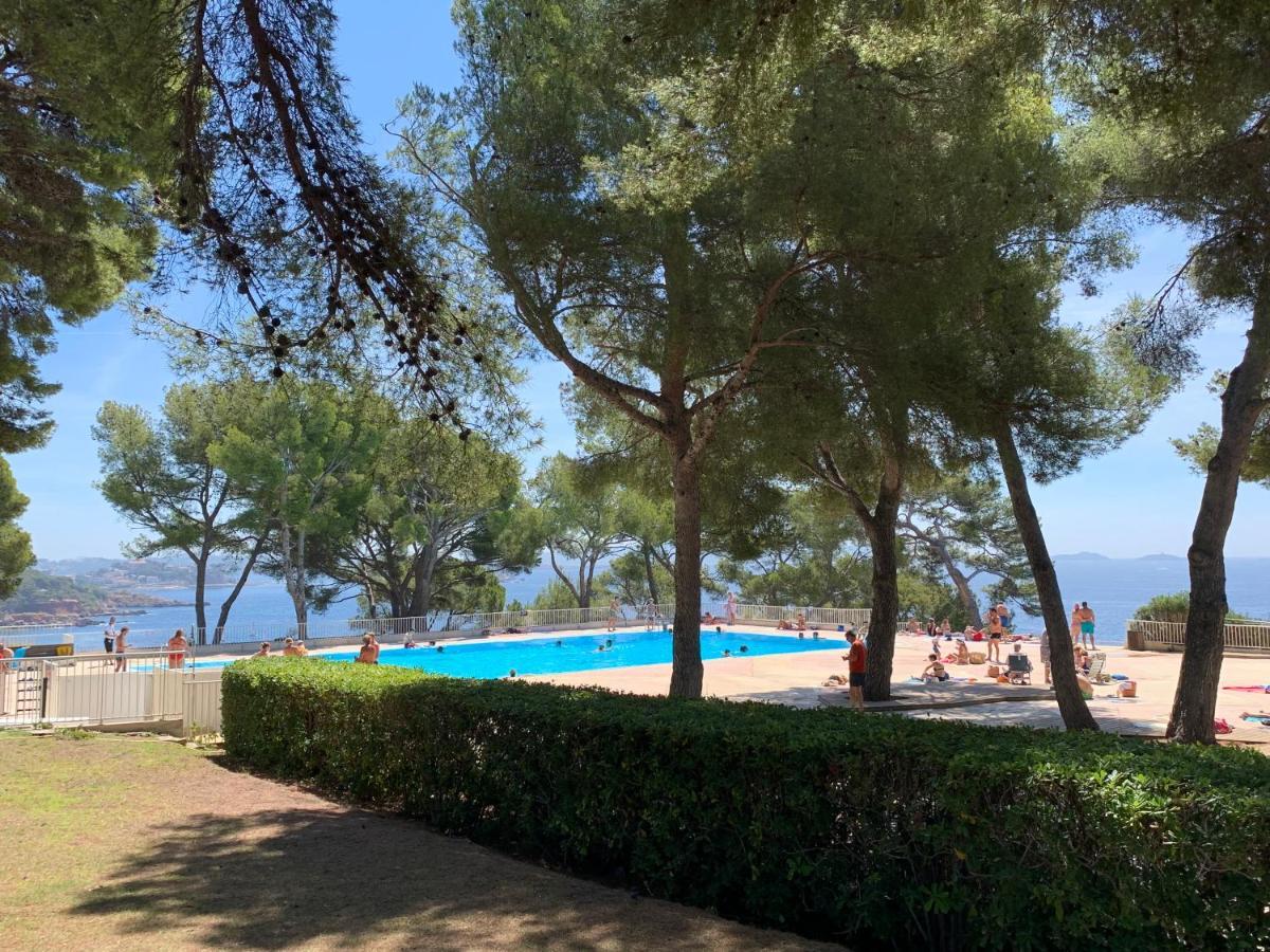 Horizon Bleu Bandol : Appartement Pieds Dans L'Eau Kültér fotó